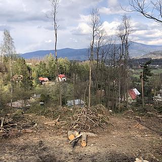 Prodej stavební parcely 6 986 m² Čeladná