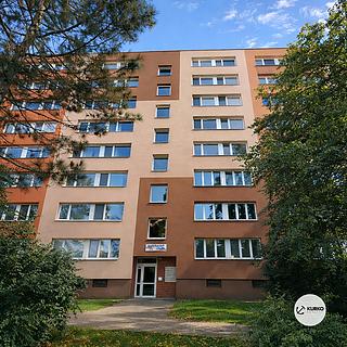 Pronájem bytu 1+1 35 m² Frýdek-Místek Frýdek, K Hájku