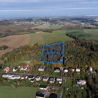 Prodej lesa 29 217 m² Staříč