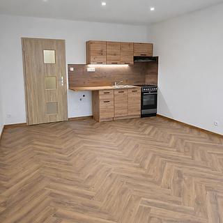 Pronájem bytu 1+kk a garsoniéry 34 m² Frýdek-Místek Frýdek, Novodvorská