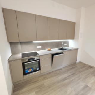 Pronájem bytu 1+kk a garsoniéry 40 m² Štramberk, K Očnímu