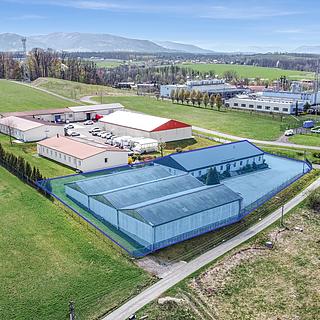 Prodej obchodu 1 300 m² Třanovice