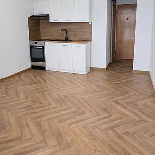 Pronájem bytu 1+kk a garsoniéry 29 m² Frýdek-Místek Místek, 17. listopadu
