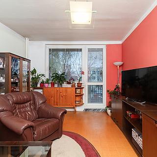 Prodej bytu 4+1 97 m² Frýdek-Místek Frýdek, Mánesova