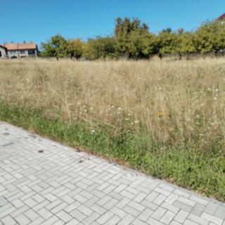 Prodej stavební parcely 2015 m² Vavřinec
