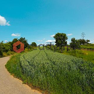 Prodej ostatního pozemku 922 m² Vlkoš