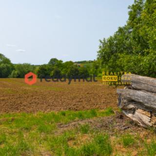 Prodej zemědělské půdy 553 m² Labuty