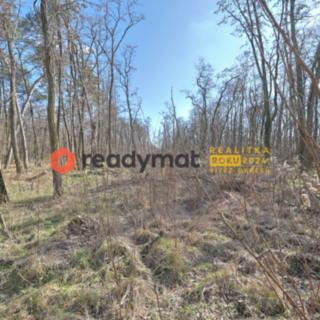Prodej lesa 5 323 m² Dubňany