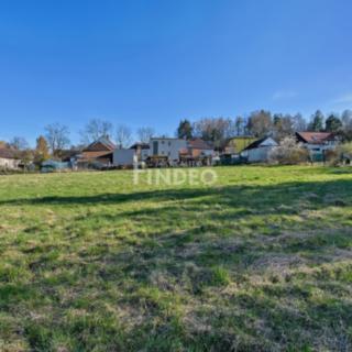 Prodej zemědělské půdy 2165 m² Újezd