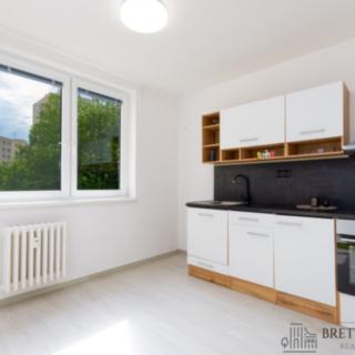 Pronájem bytu 1+1 40 m² Ostrava