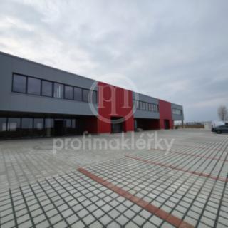 Pronájem obchodu 539 m² Moravany