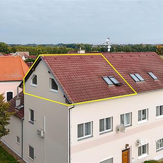 Prodej bytu 3+1 97 m² Malešovice