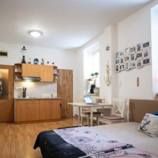 Pronájem bytu 1+kk a garsoniéry 27 m² Znojmo, Stojanova