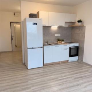 Pronájem bytu 1+kk a garsoniéry 23 m² Znojmo, Přímětická