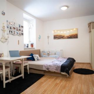 Pronájem bytu 1+kk a garsoniéry 27 m² Znojmo, Stojanova
