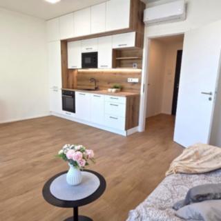 Pronájem bytu 1+kk a garsoniéry 34 m² Znojmo, Kotkova