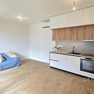 Pronájem bytu 1+kk a garsoniéry 36 m² Znojmo, Kotkova