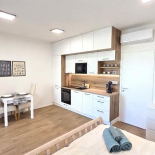 Pronájem bytu 1+kk a garsoniéry 34 m² Znojmo, Kotkova
