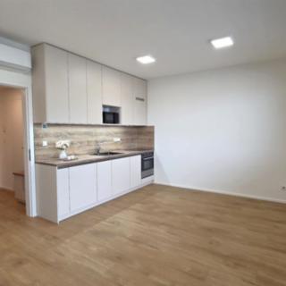 Pronájem bytu 1+kk a garsoniéry 34 m² Znojmo