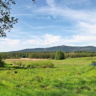 Prodej stavební parcely 942 m² Nová Pec Bělá