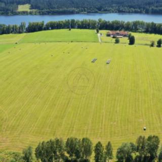 Prodej zemědělské půdy 92549 m² Horní Planá