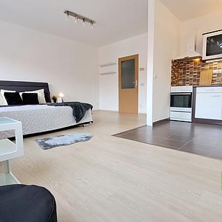 Pronájem bytu 1+kk a garsoniéry 41 m² Brno Žebětín, Keřová