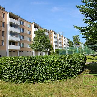 Pronájem bytu 3+1 78 m² Šlapanice
