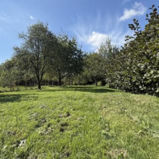 Prodej stavební parcely 874 m² Skalička
