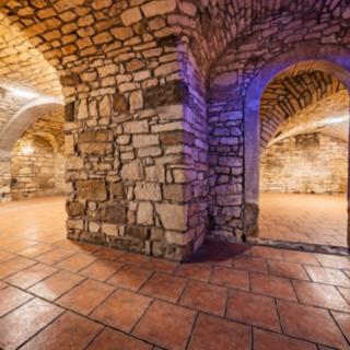 Pronájem Ostatních komerčních prostor 100 m² Slaný