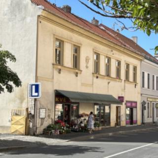 Prodej obchodu 633 m² Slaný, Palackého