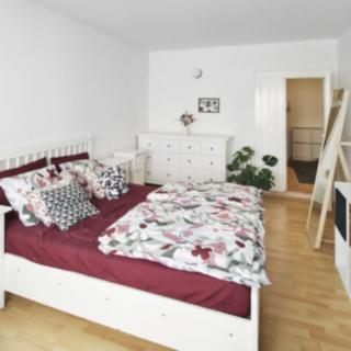 Pronájem bytu 2+1 61 m² Slaný