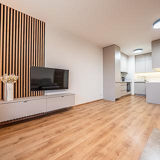 Pronájem bytu 2+kk 50 m² Kladno Kročehlavy, Bohumila Landy
