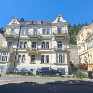 Prodej ostatního komerčního prostoru 88 m² Mariánské Lázně, Třebízského