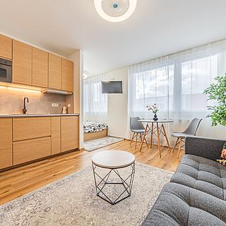 Prodej bytu 1+1 29 m² Beroun Beroun-Město, Karly Machové