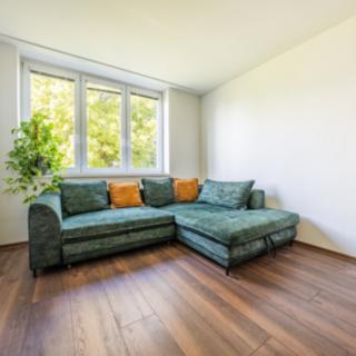 Prodej bytu 2+1 53 m² Kounov