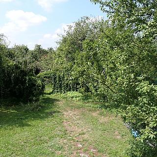 Prodej stavební parcely 848 m² Husinec