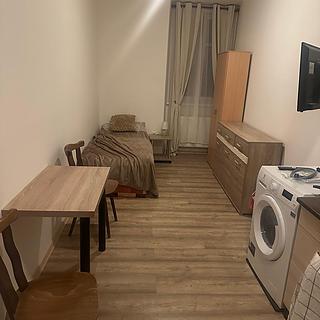 Pronájem bytu 1+kk a garsoniéry 24 m² Řevničov, Karlovarská