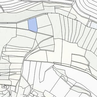 Prodej lesa 4 064 m² Tehov