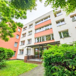 Prodej bytu 1+kk, garsoniery 28 m² Beroun