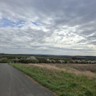Prodej stavební parcely 908 m² Dobříč