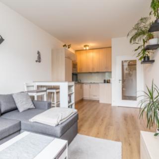 Pronájem bytu 2+kk 49 m² Praha Hlubočepy, Geologická