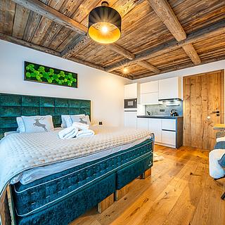 Prodej bytu 1+kk a garsoniéry 28 m² Harrachov