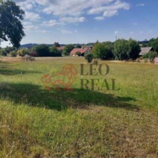 Prodej stavební parcely 5 500 m² Xaverov