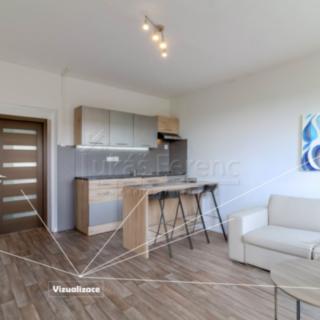 Prodej bytu 2+kk 45 m² Teplice