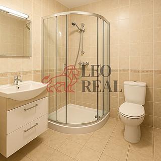 Prodej rodinného domu 289 m² Rapotice