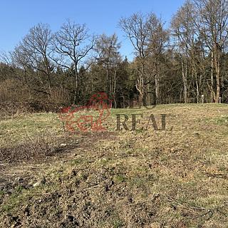 Prodej stavební parcely 3 129 m² Ludvíkovice