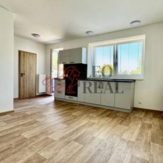 Pronájem bytu 1+kk a garsoniéry 31 m² Uherské Hradiště, Kollárova