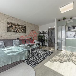Prodej bytu 2+kk 46 m² Praha