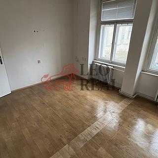 Pronájem skladu 14 m² Ústí nad Labem Krásné Březno, Drážďanská