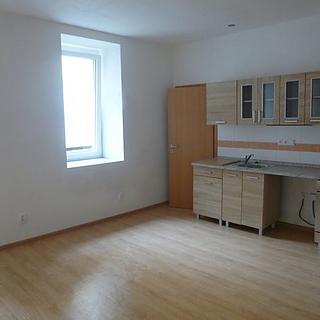 Pronájem bytu 1+kk a garsoniéry 18 m² Děčín IV-Podmokly